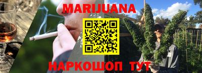 шишки Нарткала