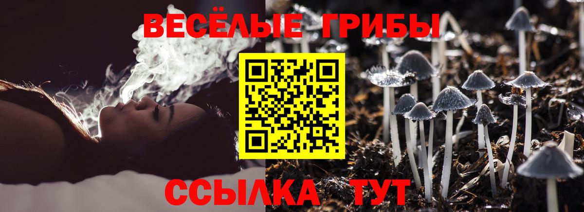 МЕФ Шарыпово
